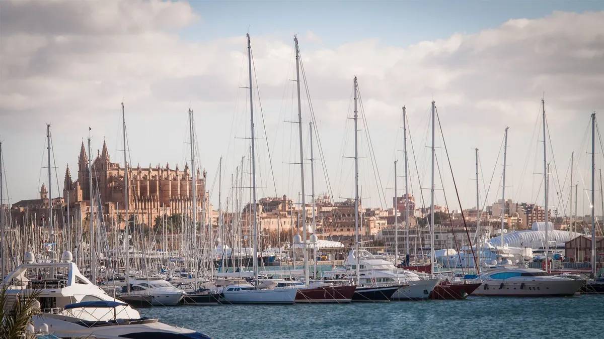Palma